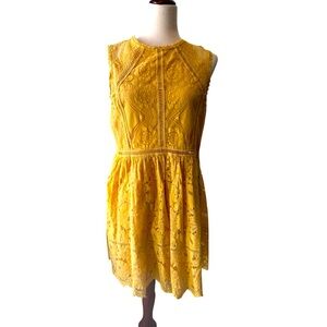 Yellow Dress Xhiliration L